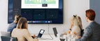 8K 60Hz HDMI Extension Cable for Monitors and Gaming Consoles