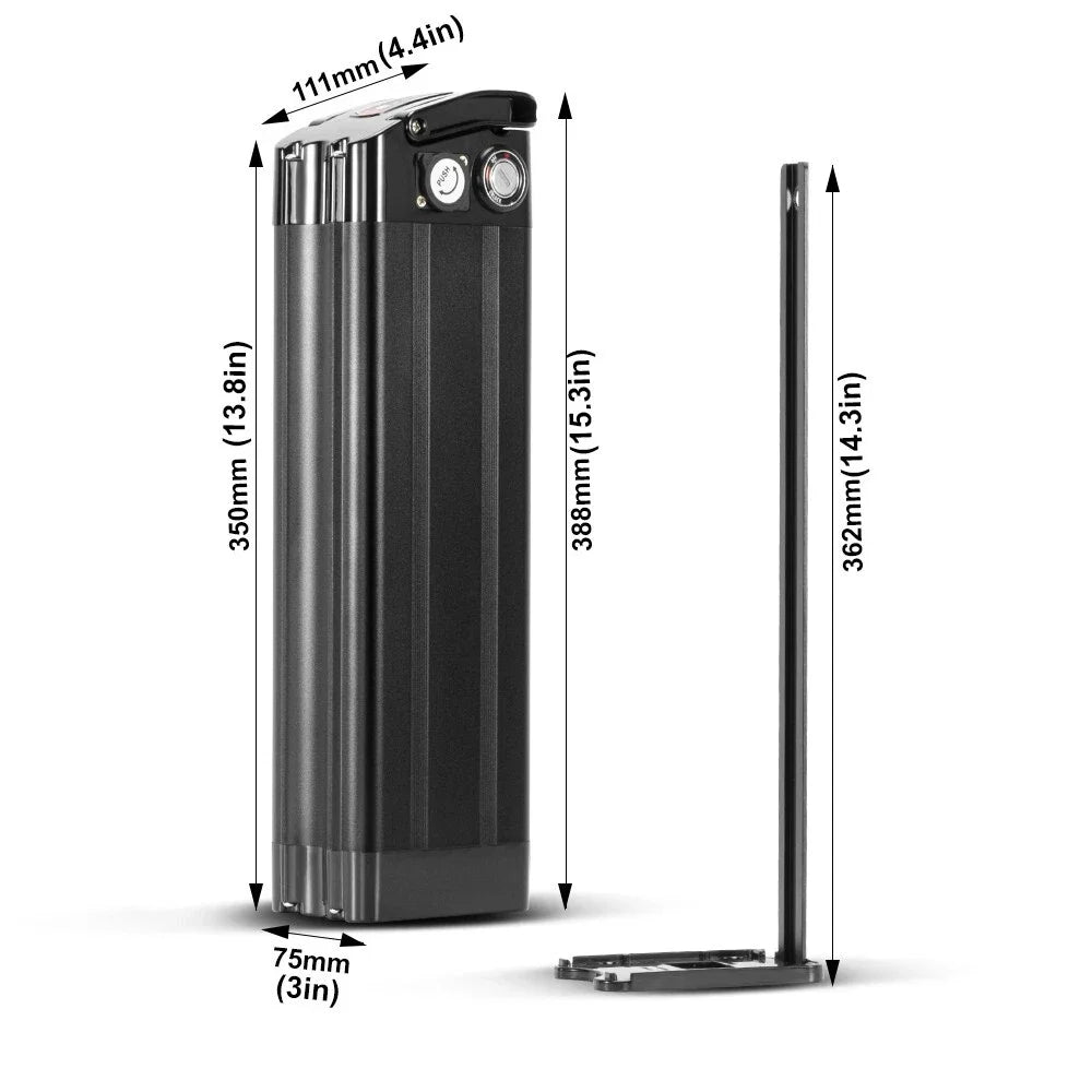 Silver Fish Lithium Ion E-Bike Battery Pack with BMS