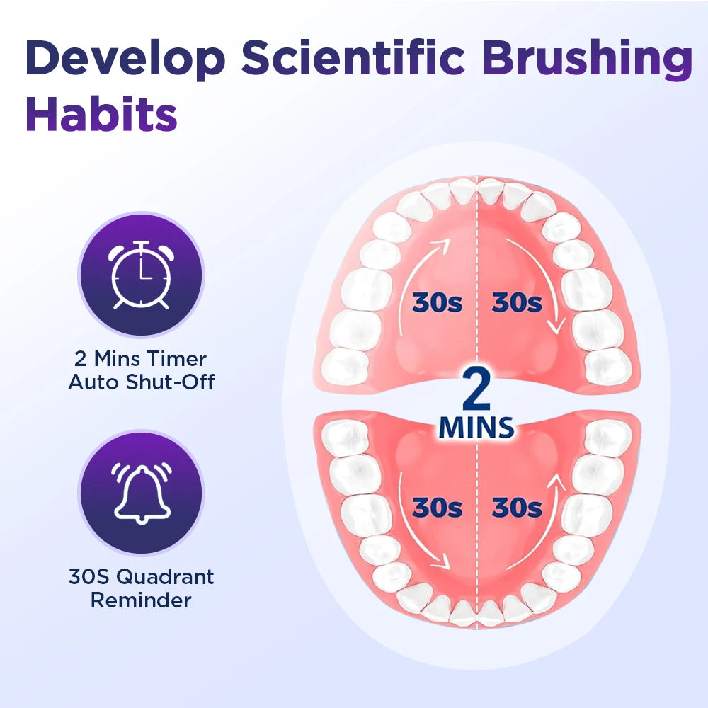 Rechargeable Electric Toothbrush with 5 Modes and 4 Brush Heads