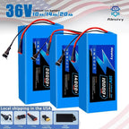 36V Lithium-Ion E-Bike and Electric Scooter Battery Pack