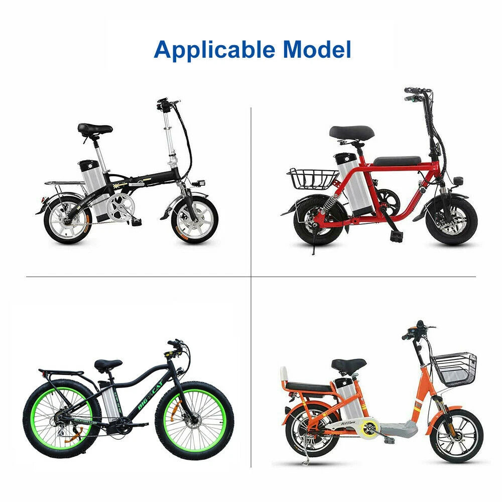 Silver Fish Lithium Ion E-Bike Battery Pack with BMS