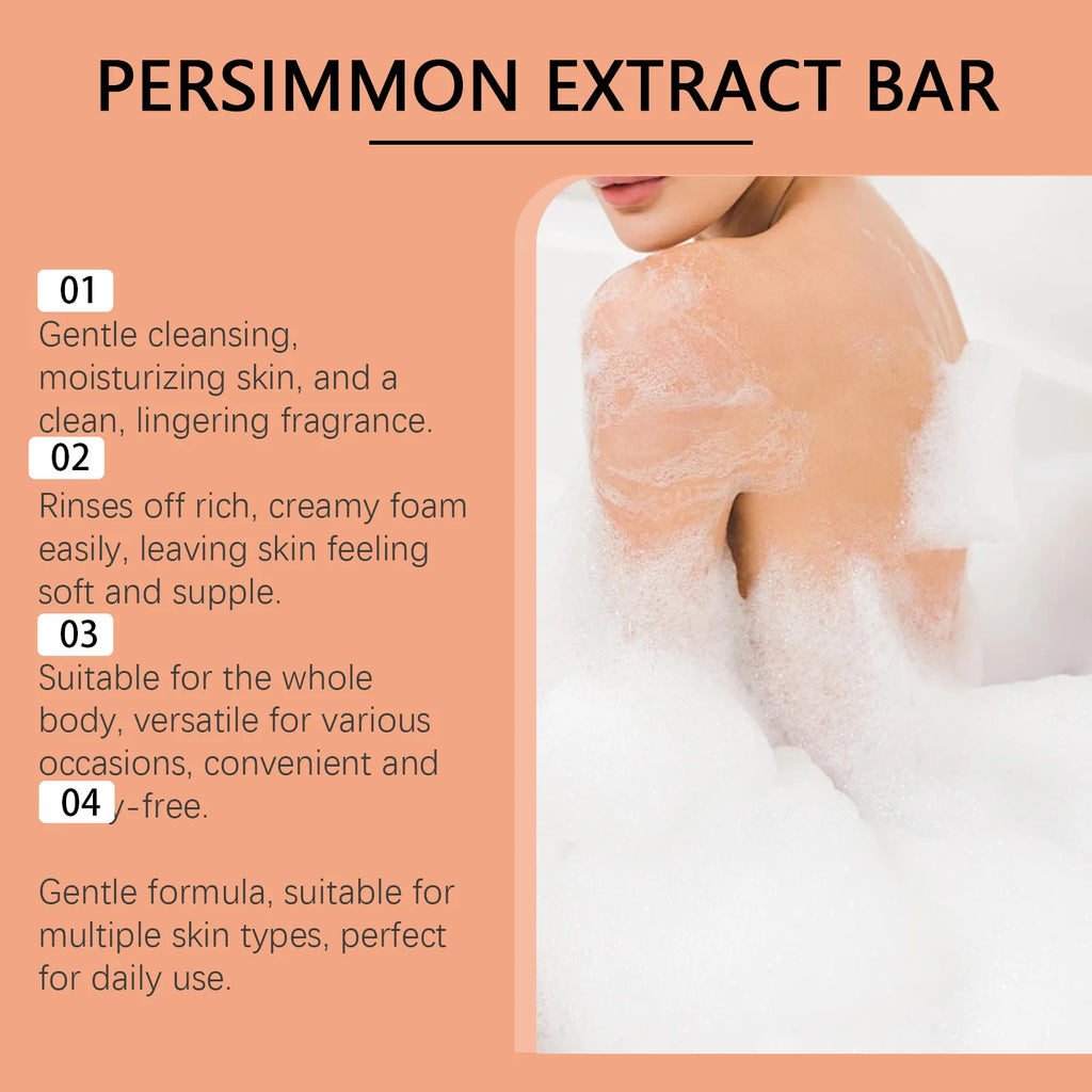Persimmon Deodorizing Body Soap for Aging Odor