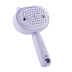 Electric Mist Spray Scalp Massager and Detangling Hair Brush