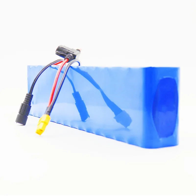 48V 50Ah Rechargeable Lithium-Ion Battery Pack with Charger