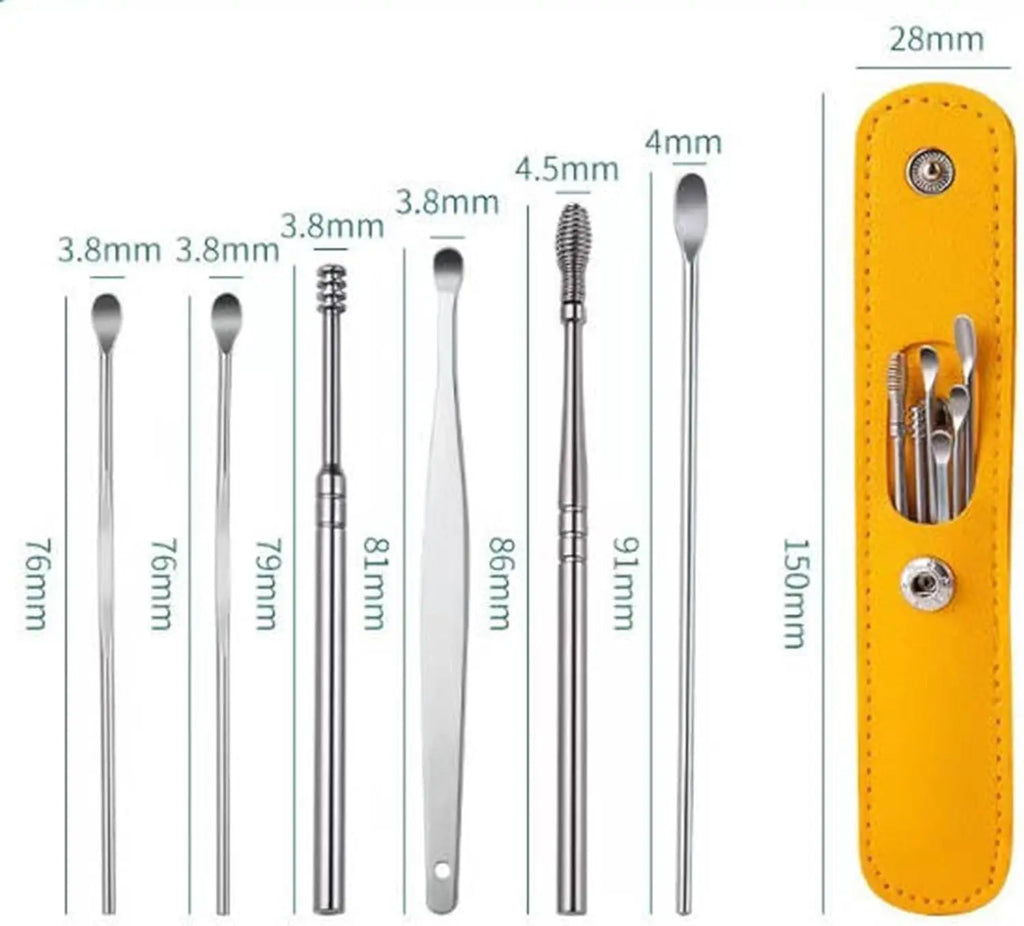 Stainless Steel Ear Wax Removal Cleaning Tool Kit with Storage Case