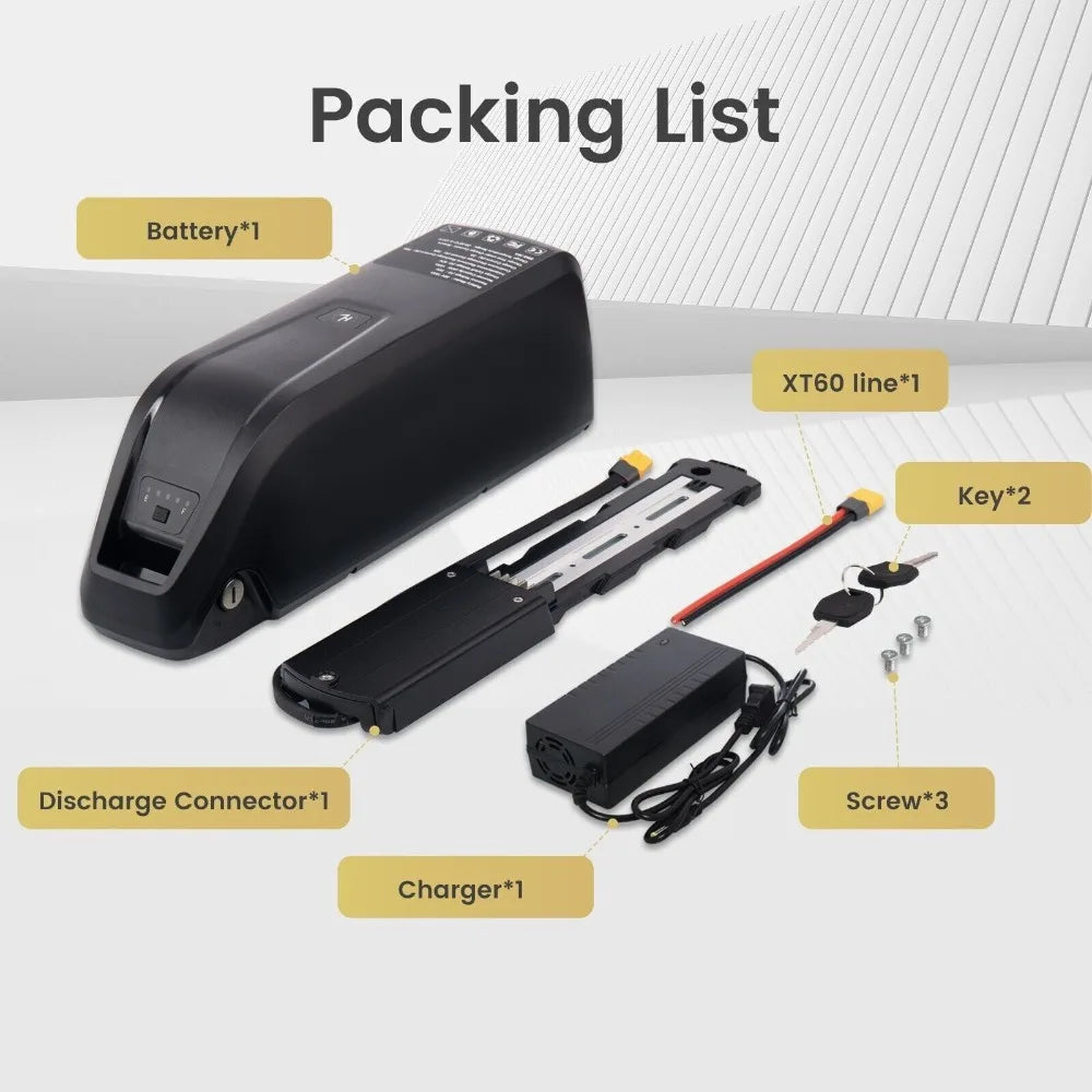 Electric Bike Hailong Lithium-Ion Battery Pack 36V 48V 52V