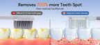 Electric Nasal Irrigation and Oral Care Cleaning System