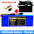48V 20Ah Lithium-Ion E-Bike Battery Pack with Charger