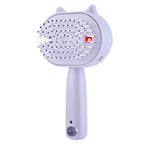 Electric Mist Spray Scalp Massager and Detangling Hair Brush