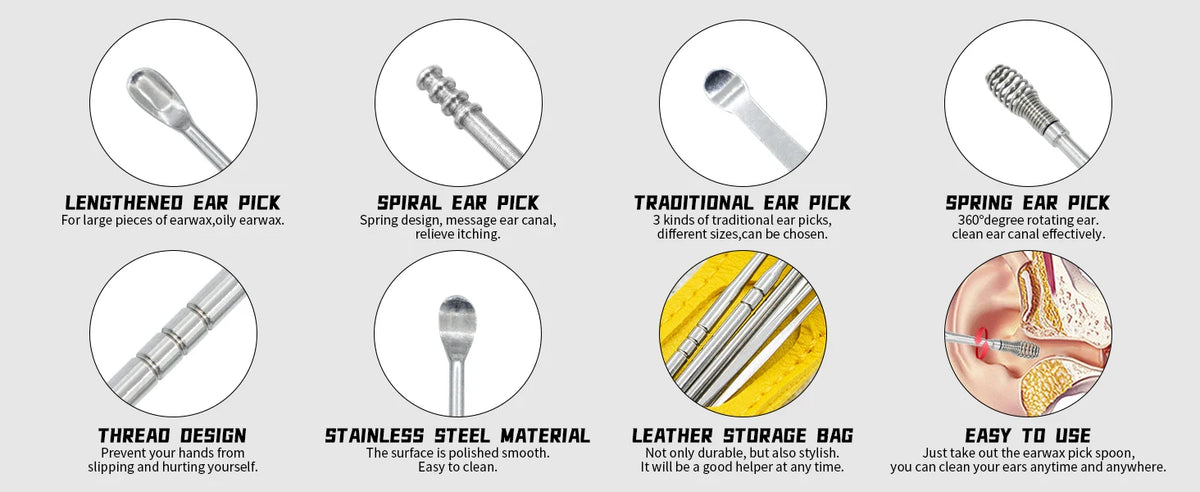 Stainless Steel Ear Wax Removal Cleaning Tool Kit with Storage Case