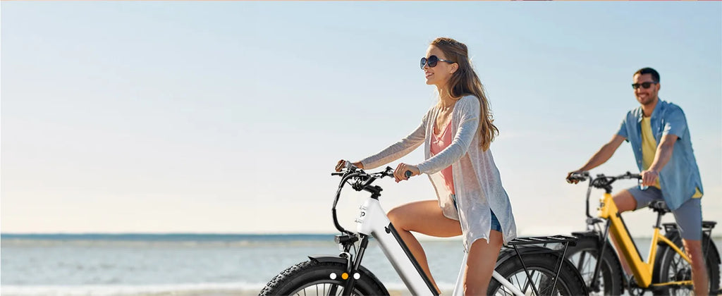 Electric Bicycle Lithium Ion Battery Pack for E-Bike 36V 48V 52V