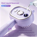 Electric Mist Spray Massage Hair Brush