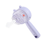 Electric Mist Spray Scalp Massager and Detangling Hair Brush