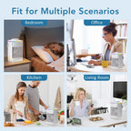 Portable Desktop Air Cooler and Humidifier with Misting Fan
