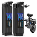 Silver Fish Lithium Ion E-Bike Battery Pack with BMS