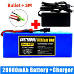 48V 20Ah Lithium-Ion E-Bike Battery Pack with Charger