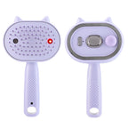 Electric Mist Spray Massage Hair Brush
