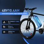 48V Hailong E-Bike Battery Pack with USB Charging Port