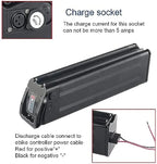 Silver Fish Lithium Ion E-Bike Battery Pack with BMS