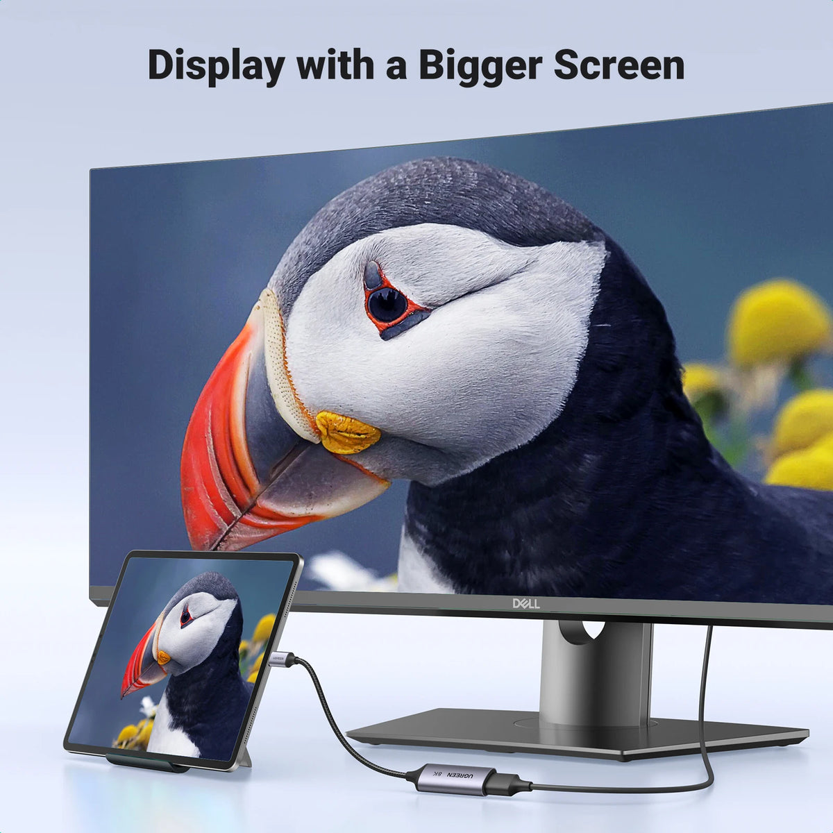USB-C to DisplayPort 1.4 8K Adapter for Monitors and Laptops