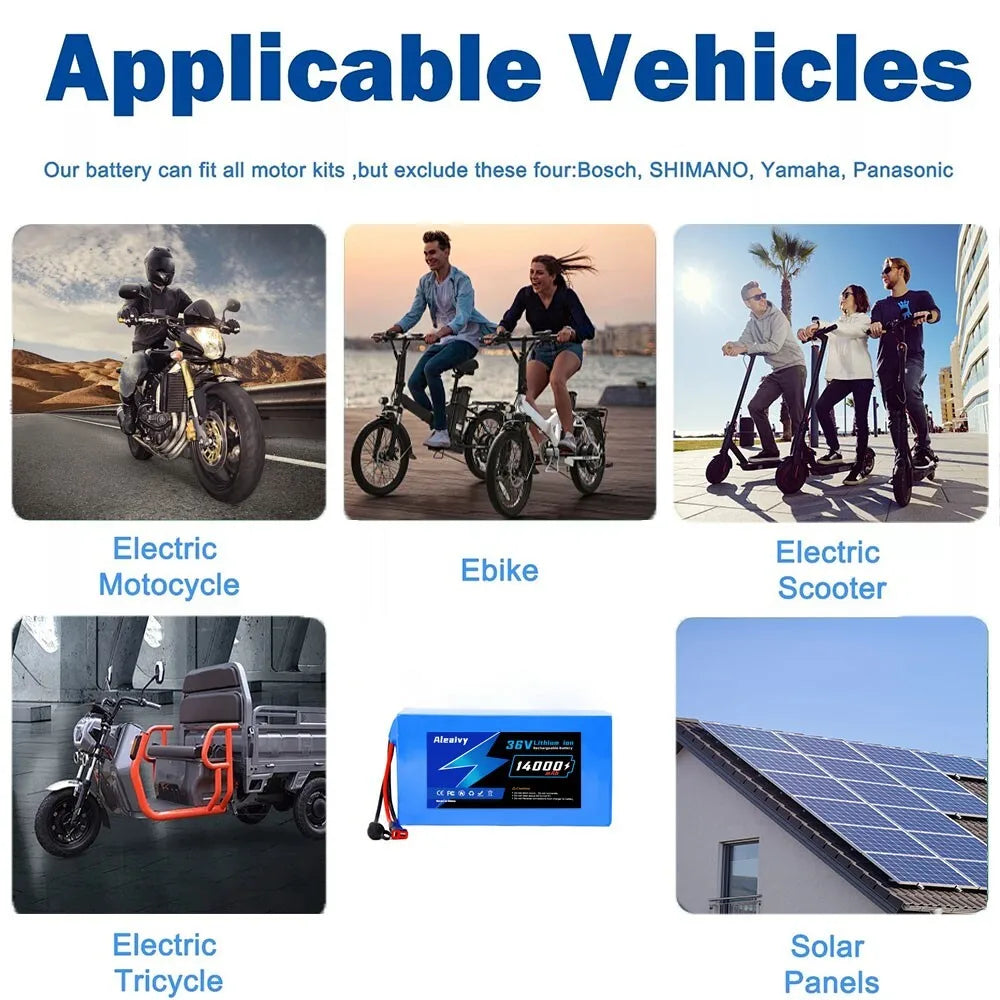 48V Lithium-Ion Battery Pack for Electric Bikes and Scooters