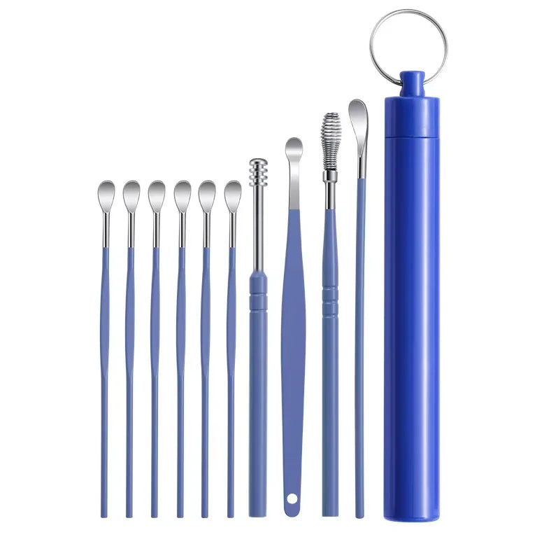 Stainless Steel Ear Wax Removal Cleaning Tool Kit with Storage Case - 17