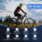 48V Hailong E-Bike Battery Pack with USB Charging Port