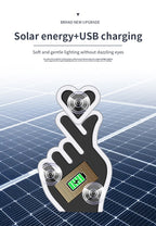 Solar USB Heart Neon LED Car Window Atmosphere Light with Sensors