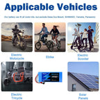 36V Lithium-Ion E-Bike and Electric Scooter Battery Pack