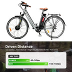 Silverfish Lithium Electric Bike Battery Pack