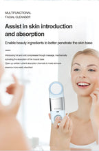 Hot and Cold Facial Cleansing Brush with Massager
