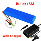 48V 50Ah Rechargeable Lithium-Ion Battery Pack with Charger