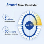 Rechargeable Rotating Electric Toothbrush for Adults