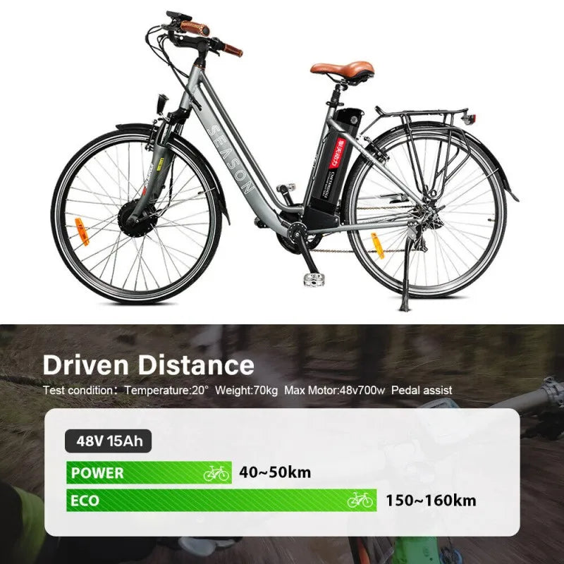 Silver Fish Lithium Battery Pack for Folding Electric Bikes